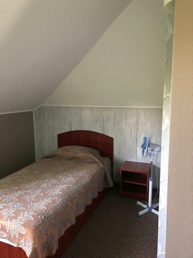 Pension Regal Satu Mare Exteriör bild